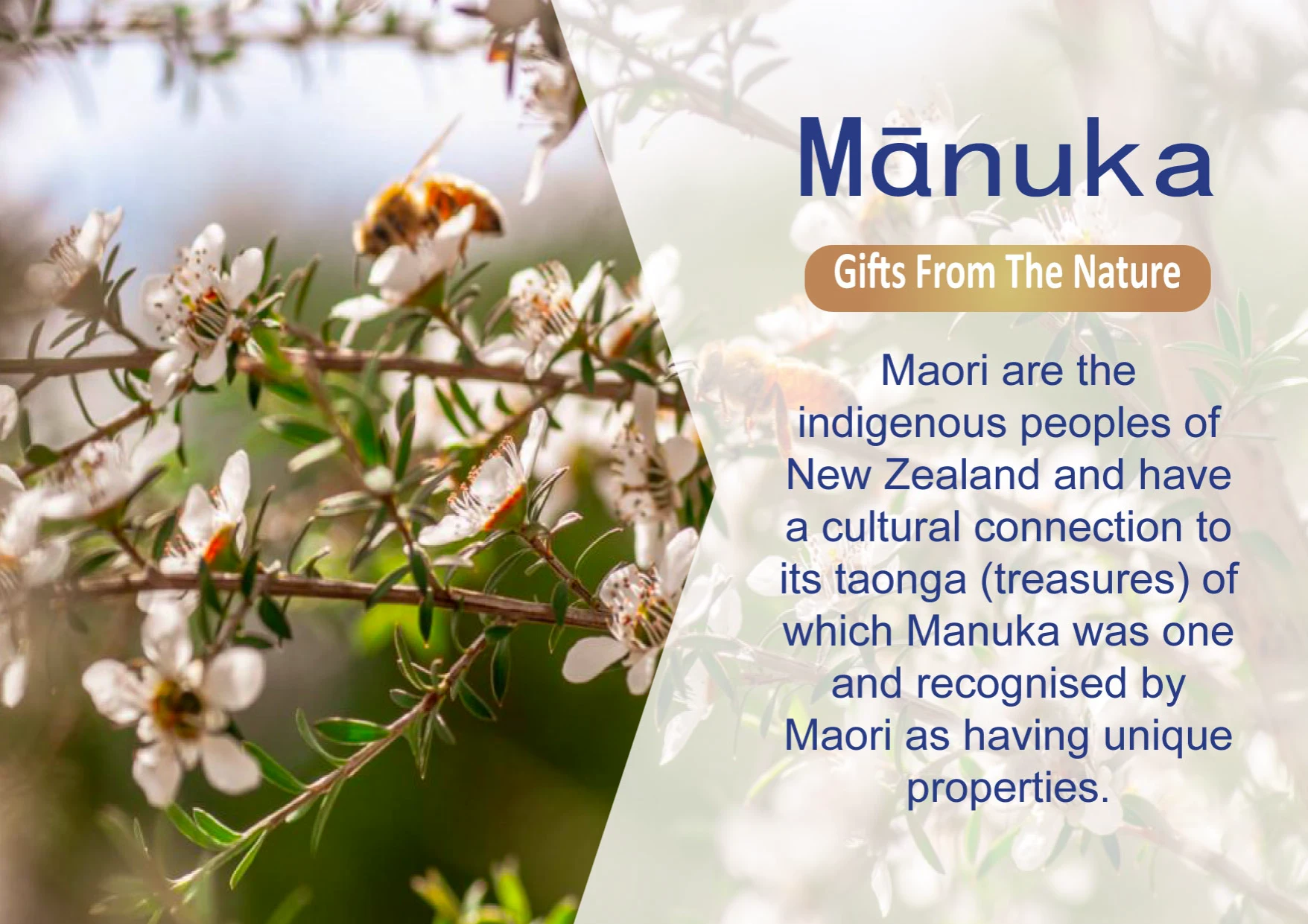 Manuka
