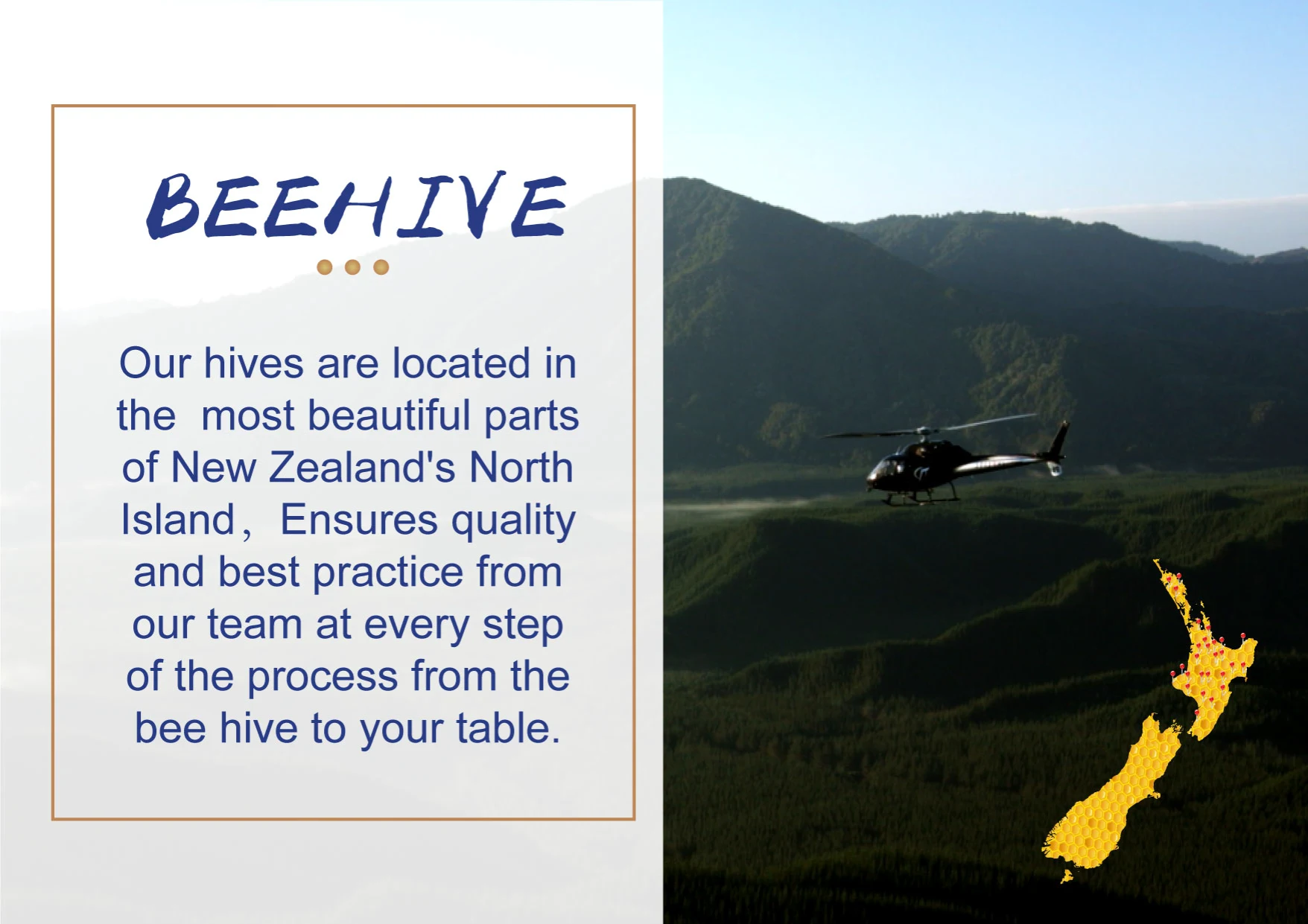 NZ Bees Beehives