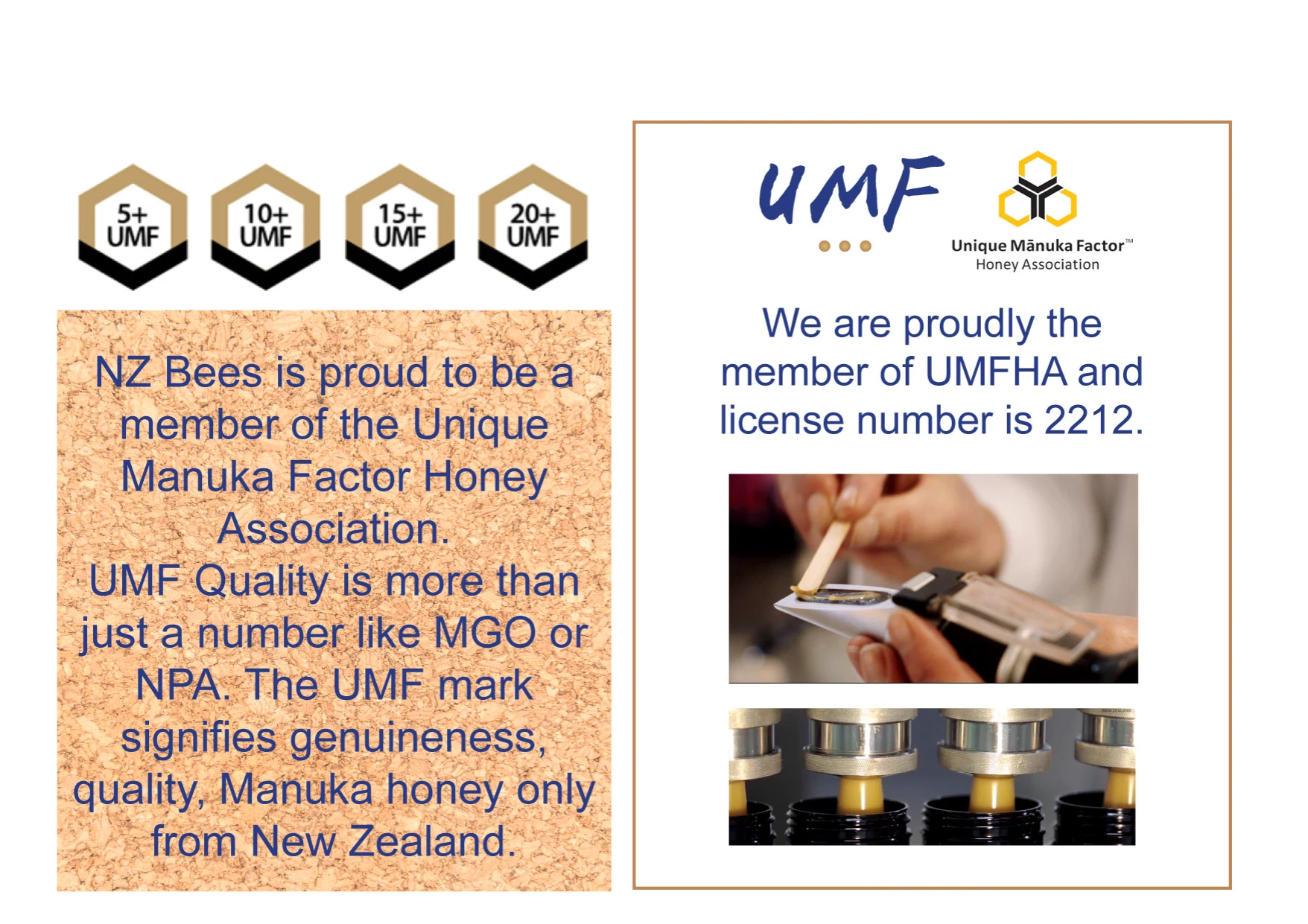 UMF