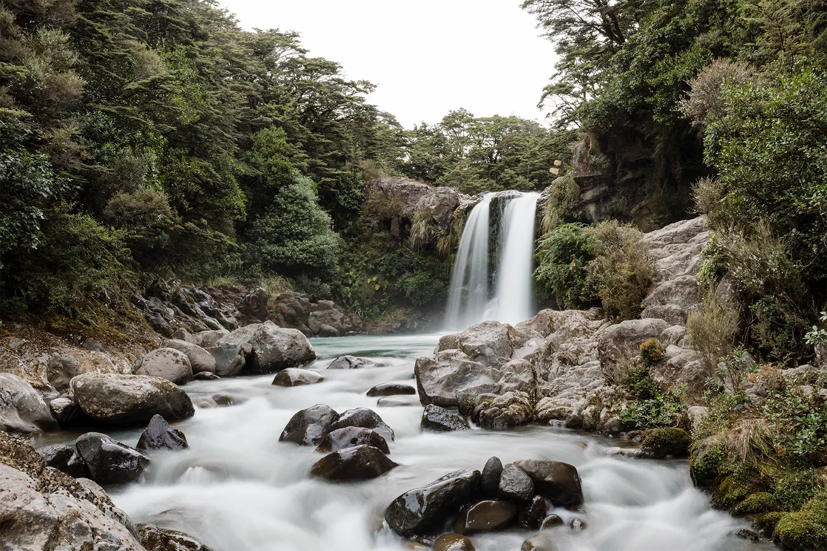 New Zealand wilderness